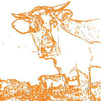 Php Replacing White Color In A Transparent Image Stack Overflow